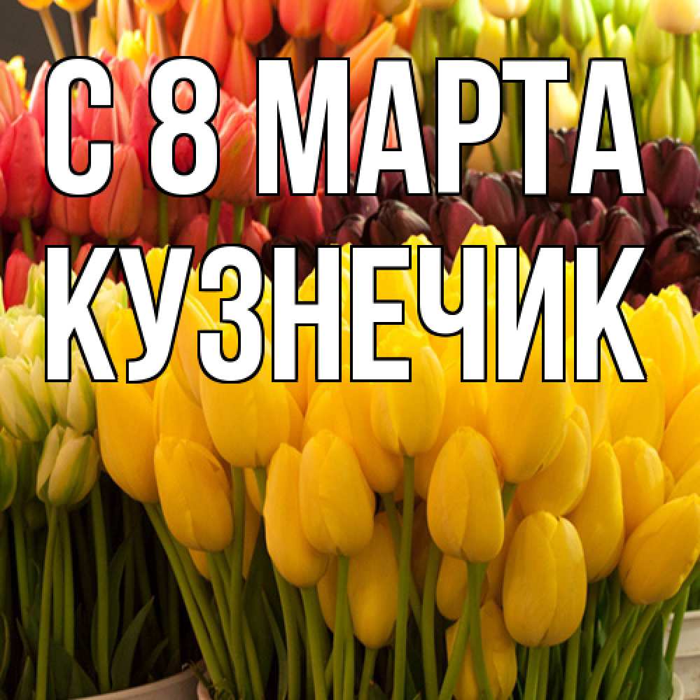 Открытка на каждый день с именем, Кузнечик C 8 МАРТА цветы Прикольная открытка с пожеланием онлайн скачать бесплатно 