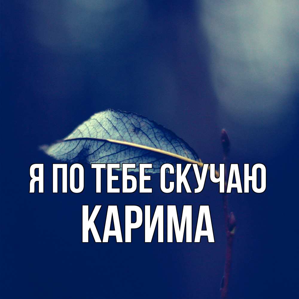 Открытка на каждый день с именем, Карима Я по тебе скучаю одна ветка 1 Прикольная открытка с пожеланием онлайн скачать бесплатно 