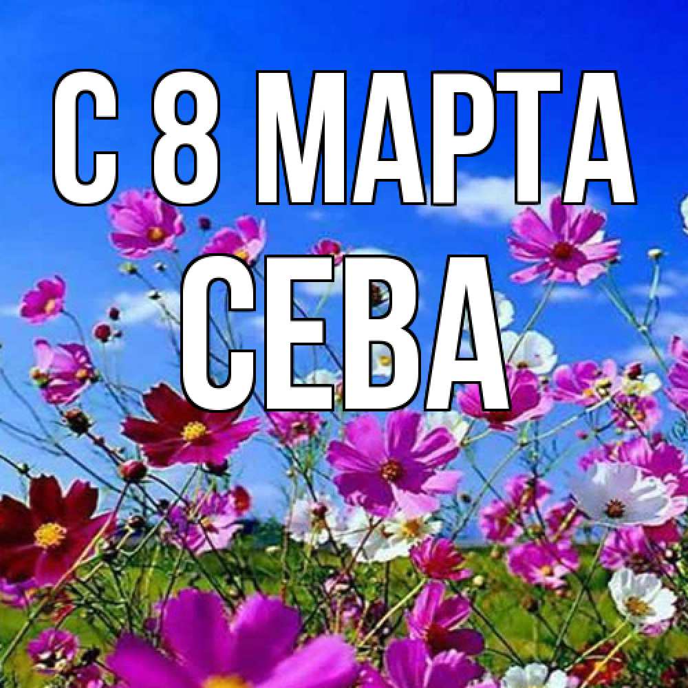 Открытка на каждый день с именем, Сева C 8 МАРТА цветы Прикольная открытка с пожеланием онлайн скачать бесплатно 