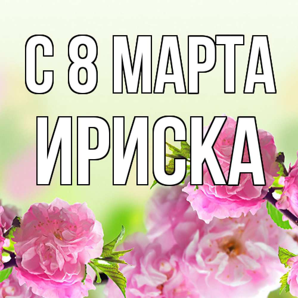 Открытка на каждый день с именем, ириска C 8 МАРТА цветы Прикольная открытка с пожеланием онлайн скачать бесплатно 