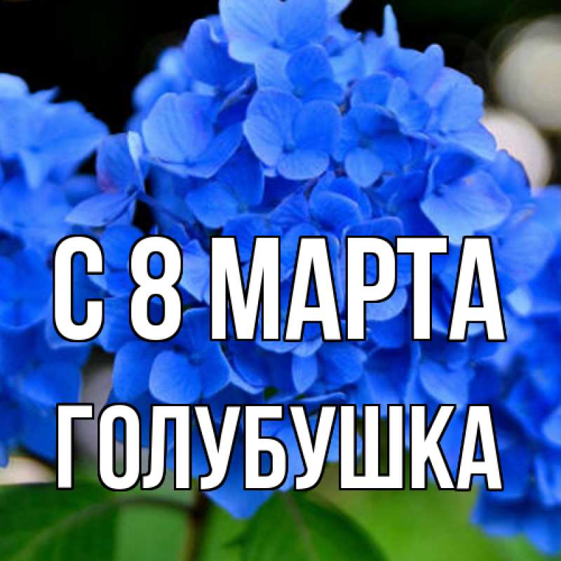 Картинка C 8 МАРТА, Голубушка