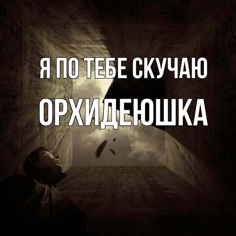 Картинка Я по тебе скучаю, Орхидеюшка
