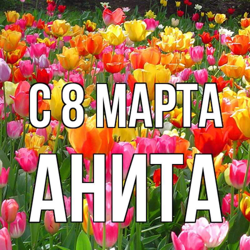 Картинка C 8 МАРТА, Анита