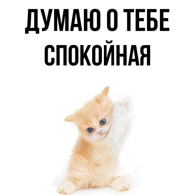 Картинка Думаю о тебе, спокойная