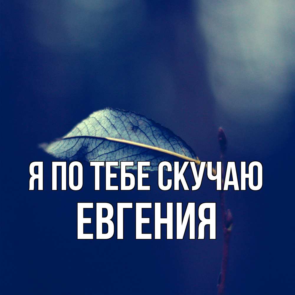 Открытка на каждый день с именем, Евгения Я по тебе скучаю одна ветка 1 Прикольная открытка с пожеланием онлайн скачать бесплатно 