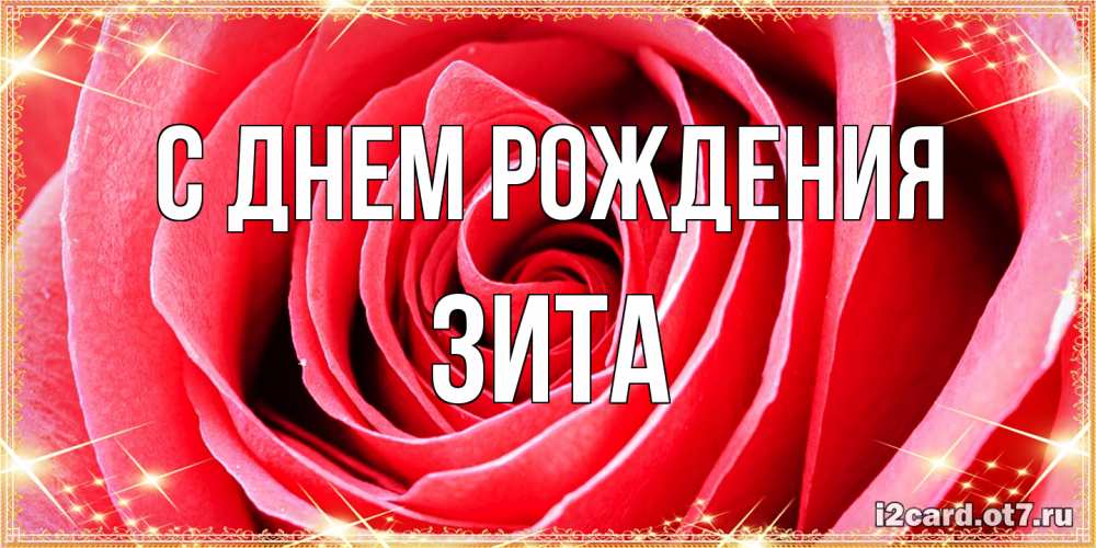 Открытка на каждый день с именем, Зита С днем рождения розовая роза очень крупный бутон Прикольная открытка с пожеланием онлайн скачать бесплатно 