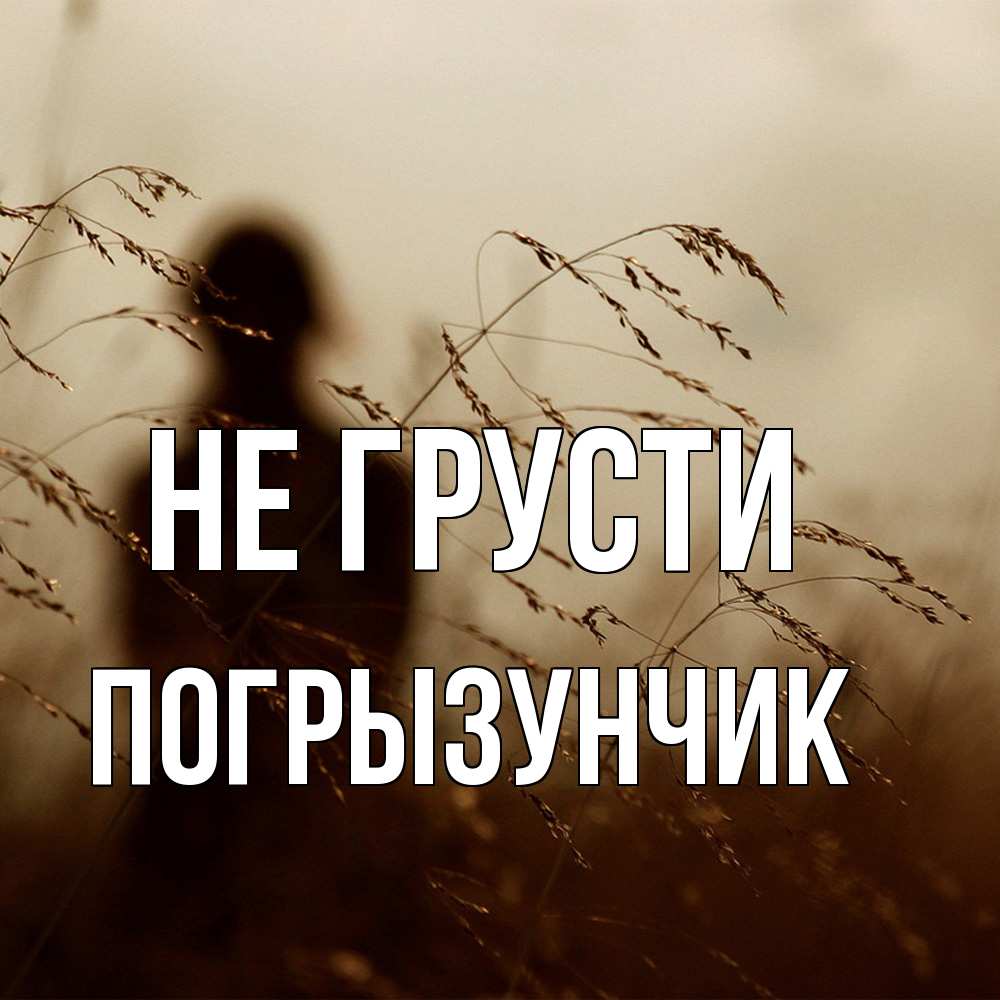 Открытка на каждый день с именем, Погрызунчик Не грусти грусть Прикольная открытка с пожеланием онлайн скачать бесплатно 