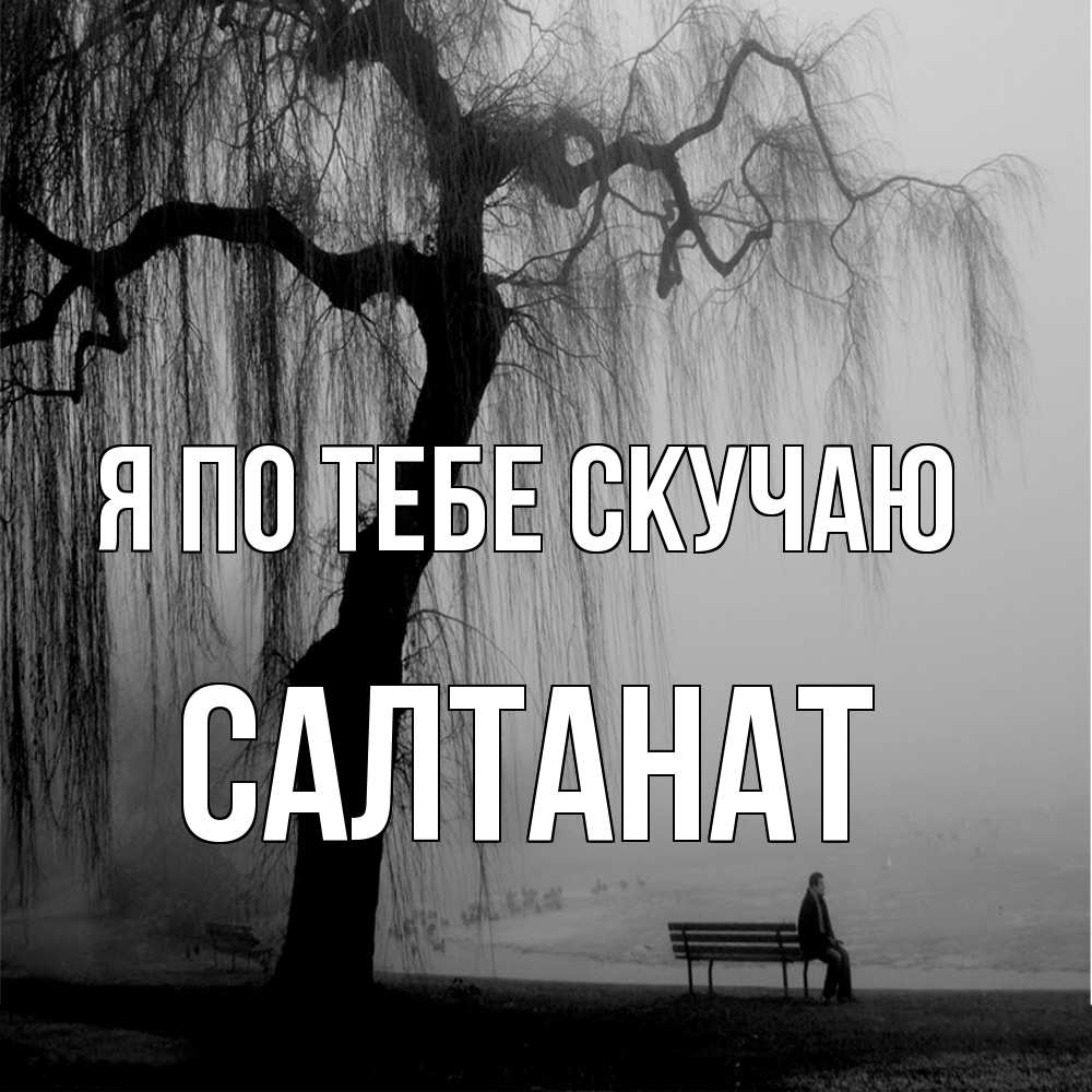 Открытка на каждый день с именем, Салтанат Я по тебе скучаю лавочка под деревом я жду тебя Прикольная открытка с пожеланием онлайн скачать бесплатно 