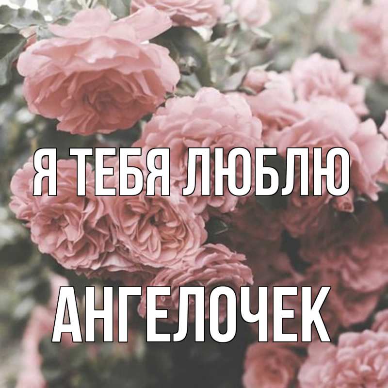 Картинка Я тебя люблю, Ангелочек