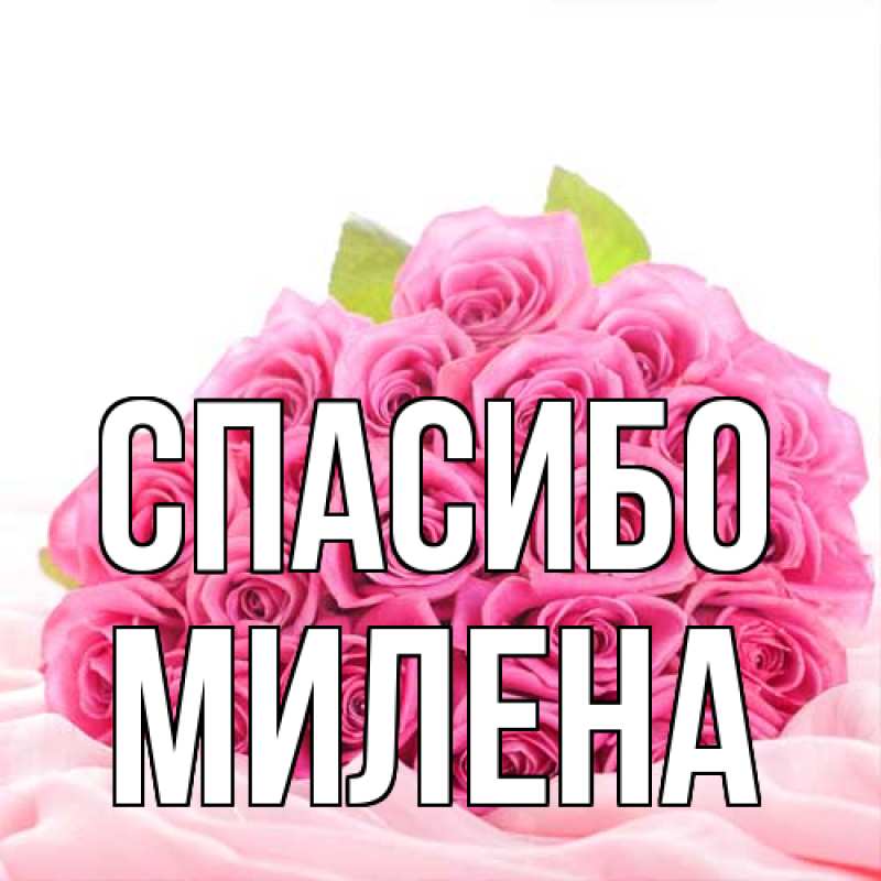 Картинка Спасибо, Милена
