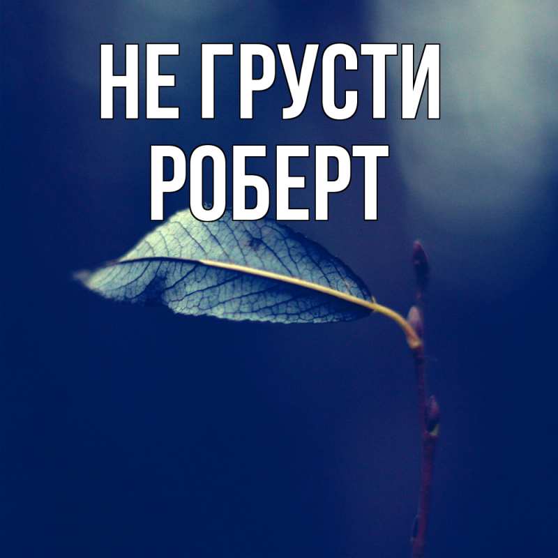 Картинка Не грусти, Роберт