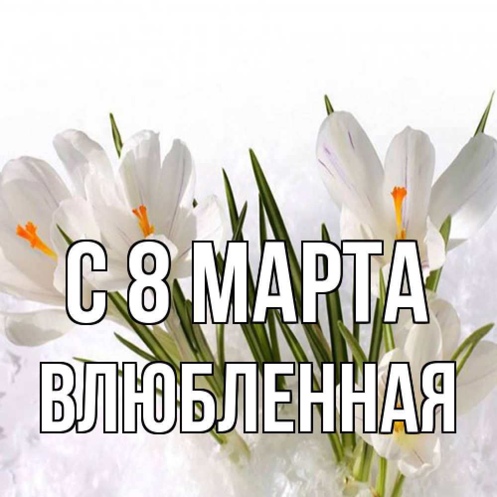 Открытка на каждый день с именем, Влюбленная C 8 МАРТА под снегом Прикольная открытка с пожеланием онлайн скачать бесплатно 