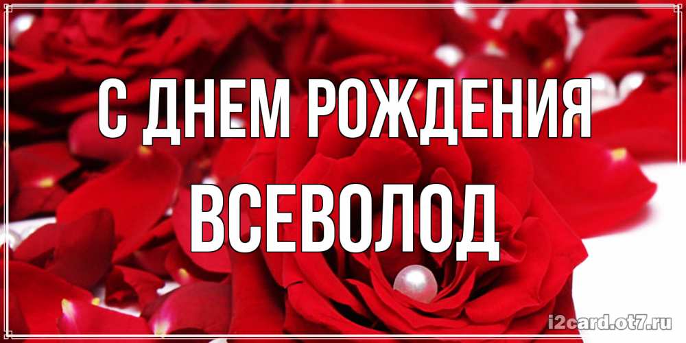Открытка на каждый день с именем, Всеволод С днем рождения роза с жемчужиной на открытке для любимых Прикольная открытка с пожеланием онлайн скачать бесплатно 
