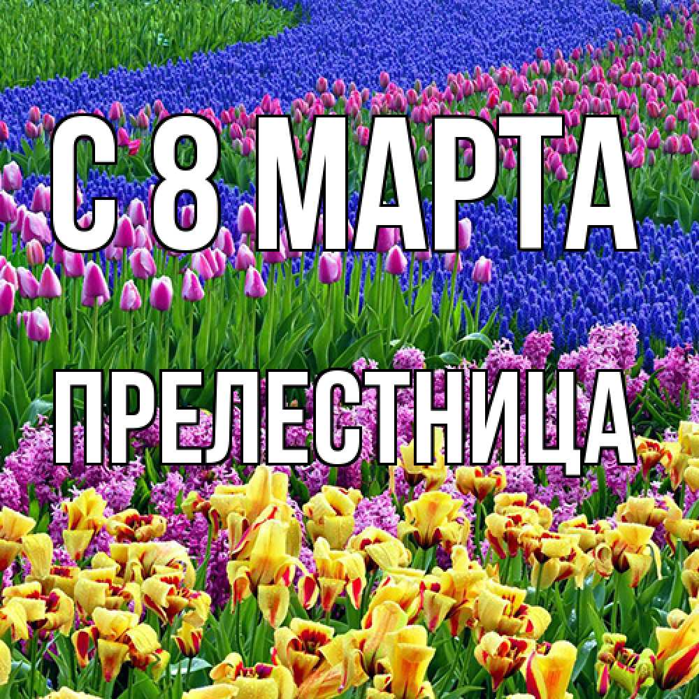 Открытка на каждый день с именем, пpелестница C 8 МАРТА цветы Прикольная открытка с пожеланием онлайн скачать бесплатно 