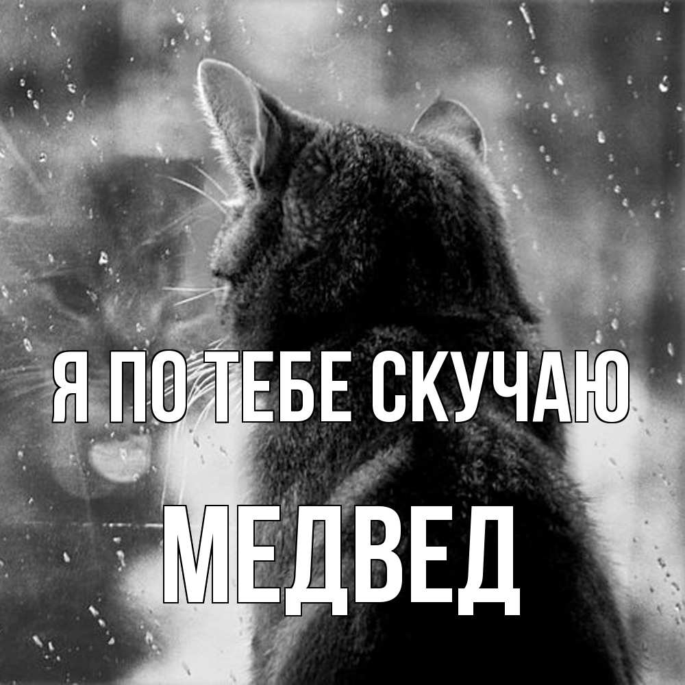 Открытка на каждый день с именем, Медвед Я по тебе скучаю скорее ко мне приходи 1 Прикольная открытка с пожеланием онлайн скачать бесплатно 