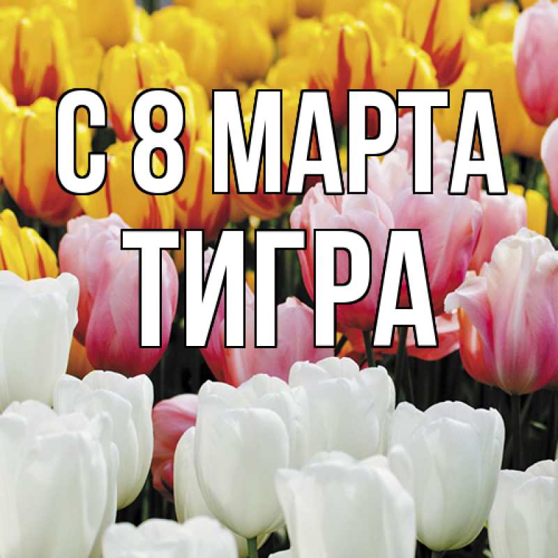 Картинка C 8 МАРТА, Тигpа