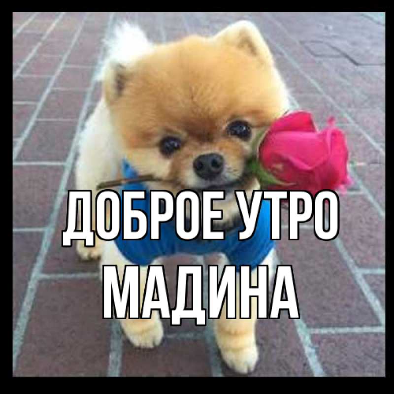 Картинка Доброе утро, Мадина