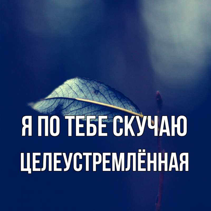 Картинка Я по тебе скучаю, Целеустремлённая