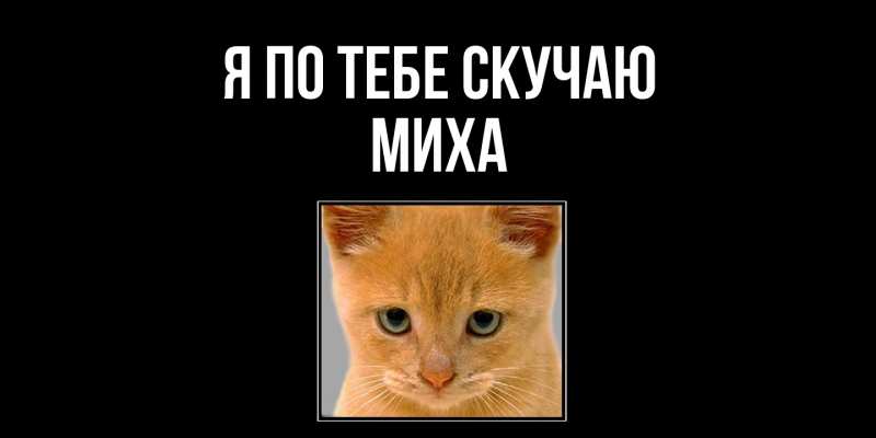 Картинка Я по тебе скучаю, Миха