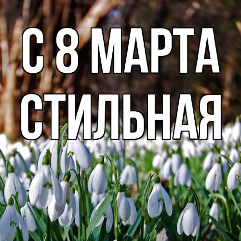 Картинка C 8 МАРТА, Стильная