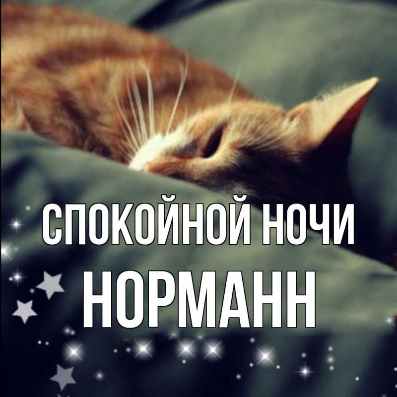 Картинка Спокойной ночи, Норманн
