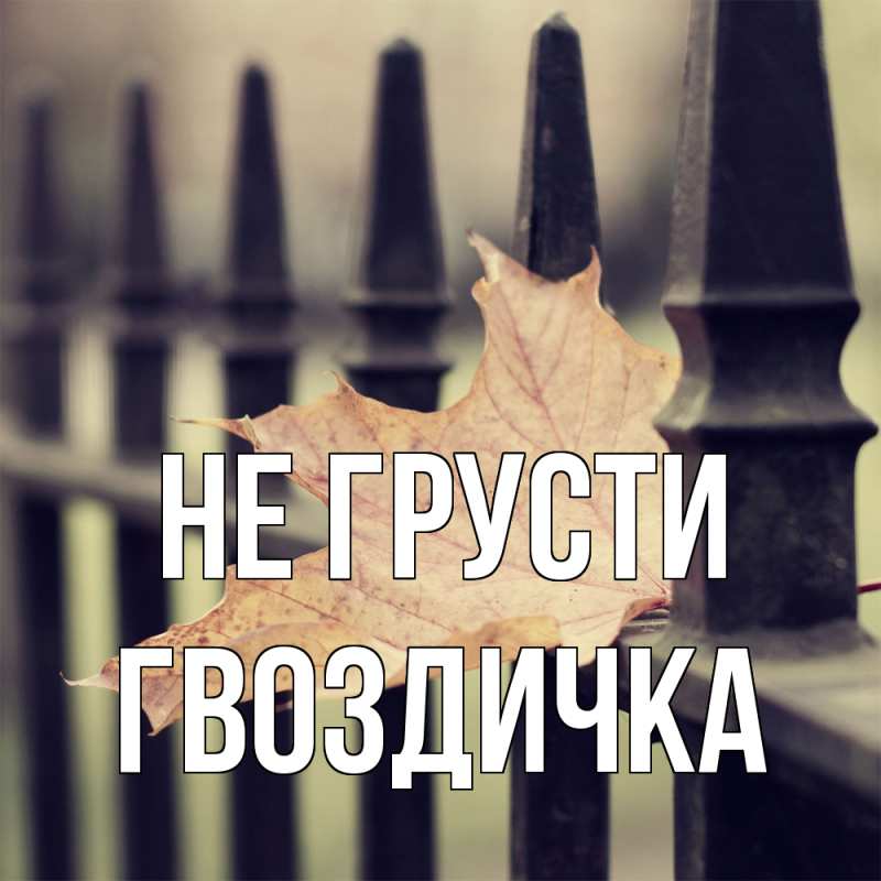 Картинка Не грусти, Гвоздичка