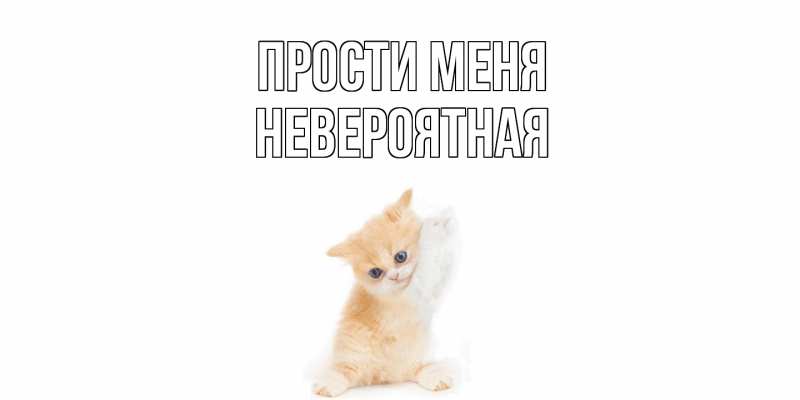 Картинка Прости меня, невероятная