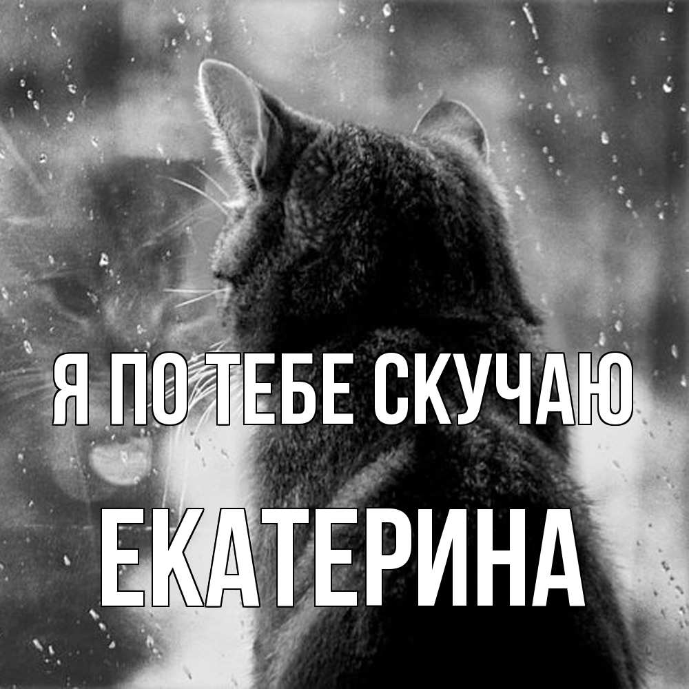 Открытка на каждый день с именем, Екатерина Я по тебе скучаю скорее ко мне приходи 1 Прикольная открытка с пожеланием онлайн скачать бесплатно 