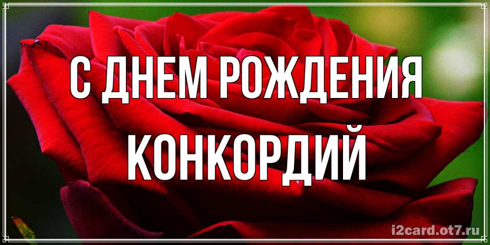 Открытка на каждый день с именем, Конкордий С днем рождения розочка очень красивая Прикольная открытка с пожеланием онлайн скачать бесплатно 