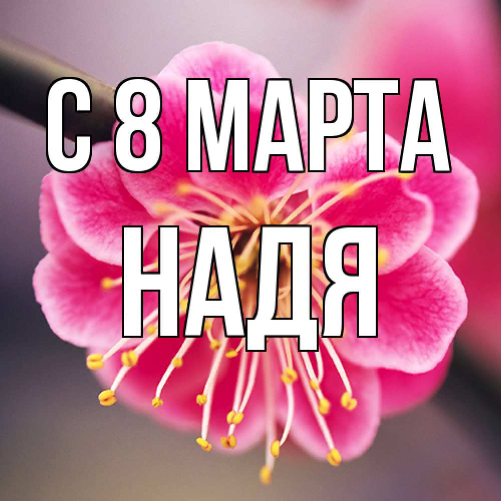Открытка на каждый день с именем, Надя C 8 МАРТА цветы Прикольная открытка с пожеланием онлайн скачать бесплатно 
