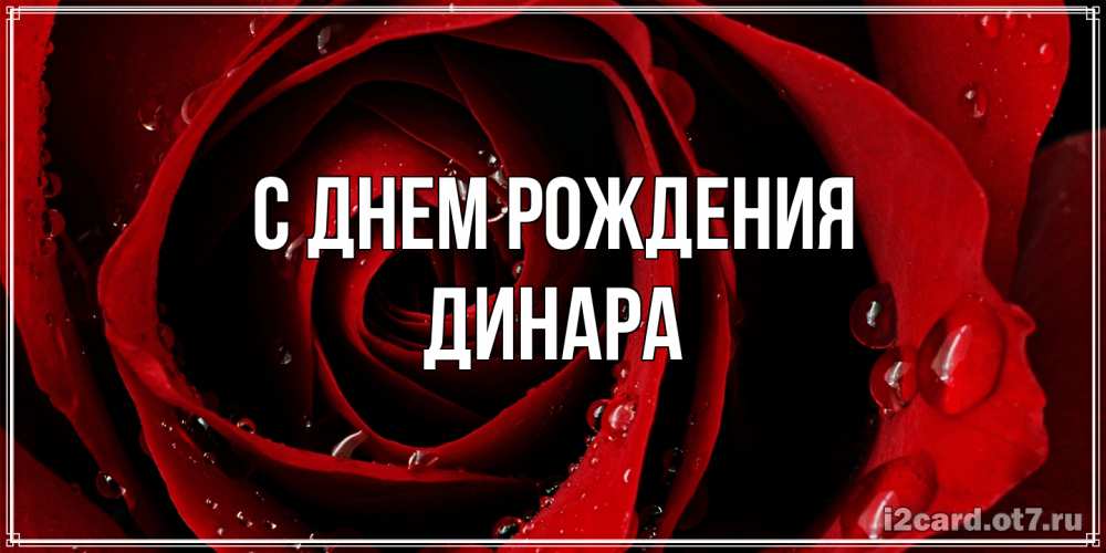Открытка на каждый день с именем, Динара С днем рождения крупная бордовая роза Прикольная открытка с пожеланием онлайн скачать бесплатно 