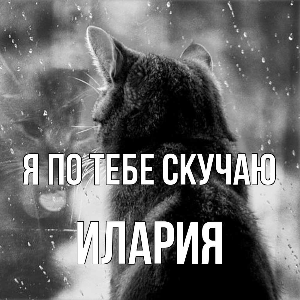 Открытка на каждый день с именем, Илария Я по тебе скучаю скорее ко мне приходи 1 Прикольная открытка с пожеланием онлайн скачать бесплатно 