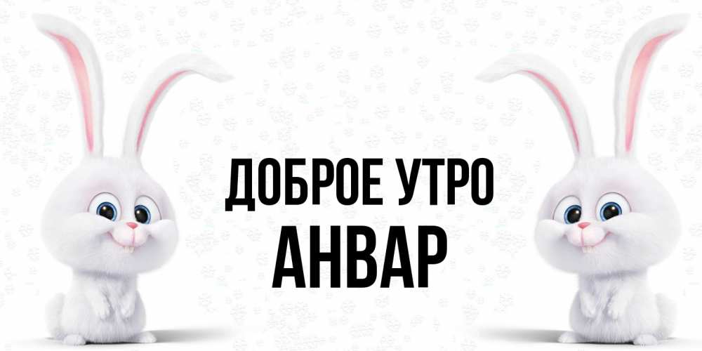 Открытка на каждый день с именем, Анвар Доброе утро кролики с длинными ушками Прикольная открытка с пожеланием онлайн скачать бесплатно 