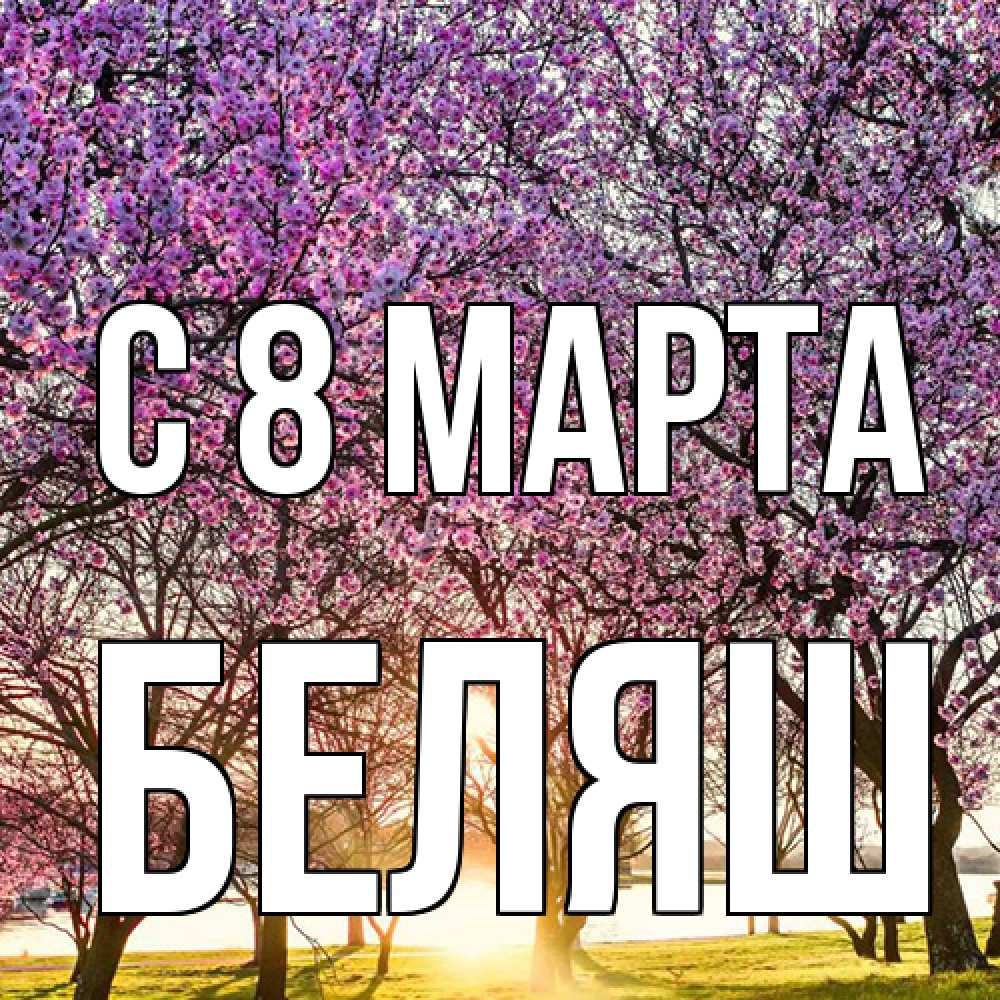 Открытка на каждый день с именем, Беляш C 8 МАРТА международный женский день Прикольная открытка с пожеланием онлайн скачать бесплатно 