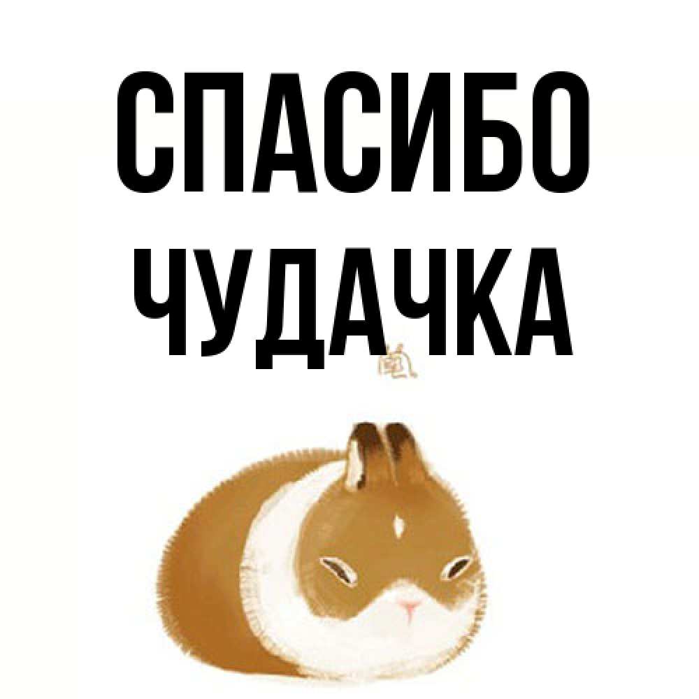 Открытка на каждый день с именем, Чудачка Спасибо коричнево белый домашний питомец Прикольная открытка с пожеланием онлайн скачать бесплатно 