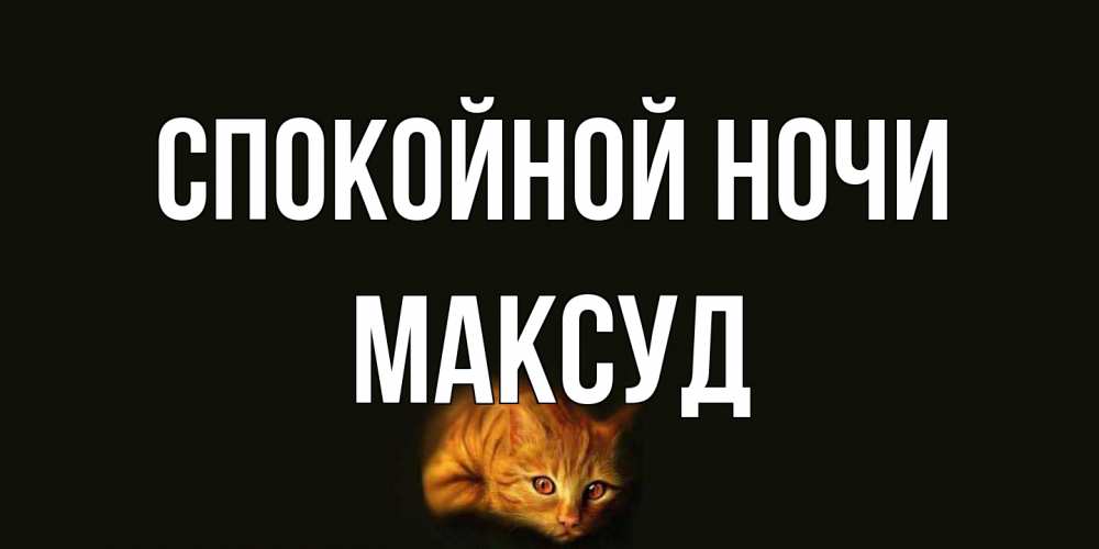 Открытка на каждый день с именем, Максуд Спокойной ночи кот Прикольная открытка с пожеланием онлайн скачать бесплатно 