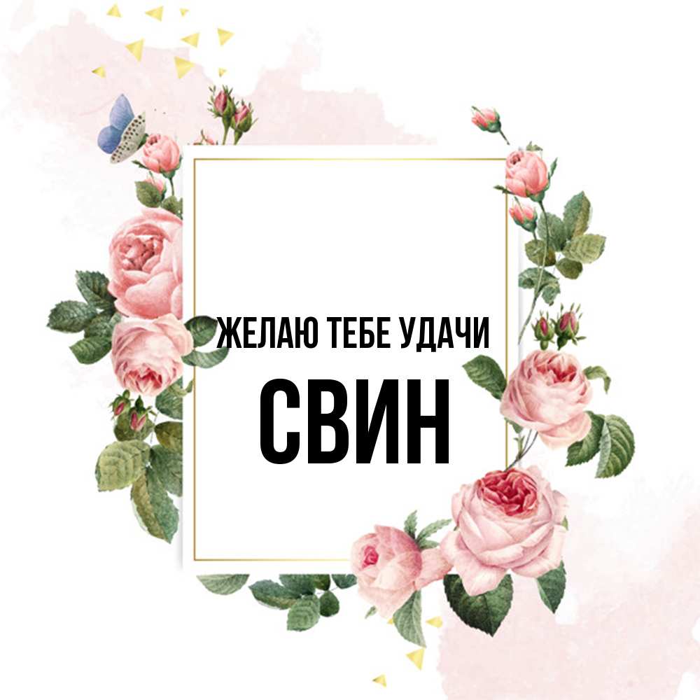 Открытка на каждый день с именем, Свин Желаю тебе удачи розовые розы Прикольная открытка с пожеланием онлайн скачать бесплатно 