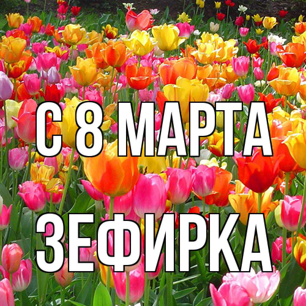 Открытка на каждый день с именем, зефирка C 8 МАРТА на международный женский день Прикольная открытка с пожеланием онлайн скачать бесплатно 