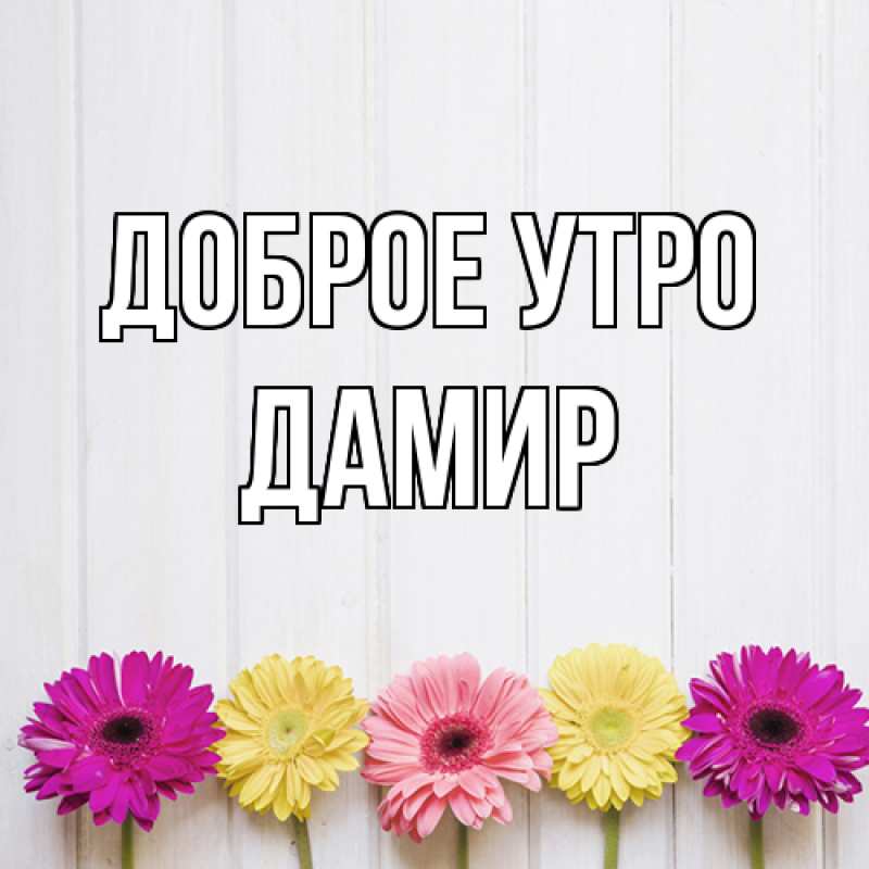 Картинка Доброе утро, Дамир