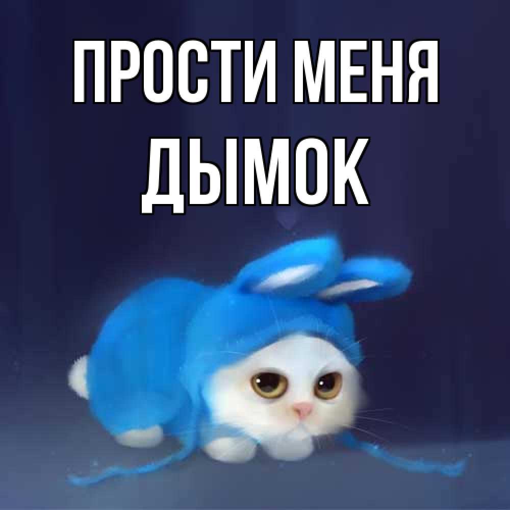 Открытка на каждый день с именем, Дымок Прости меня невинный котозай просит прощения Прикольная открытка с пожеланием онлайн скачать бесплатно 