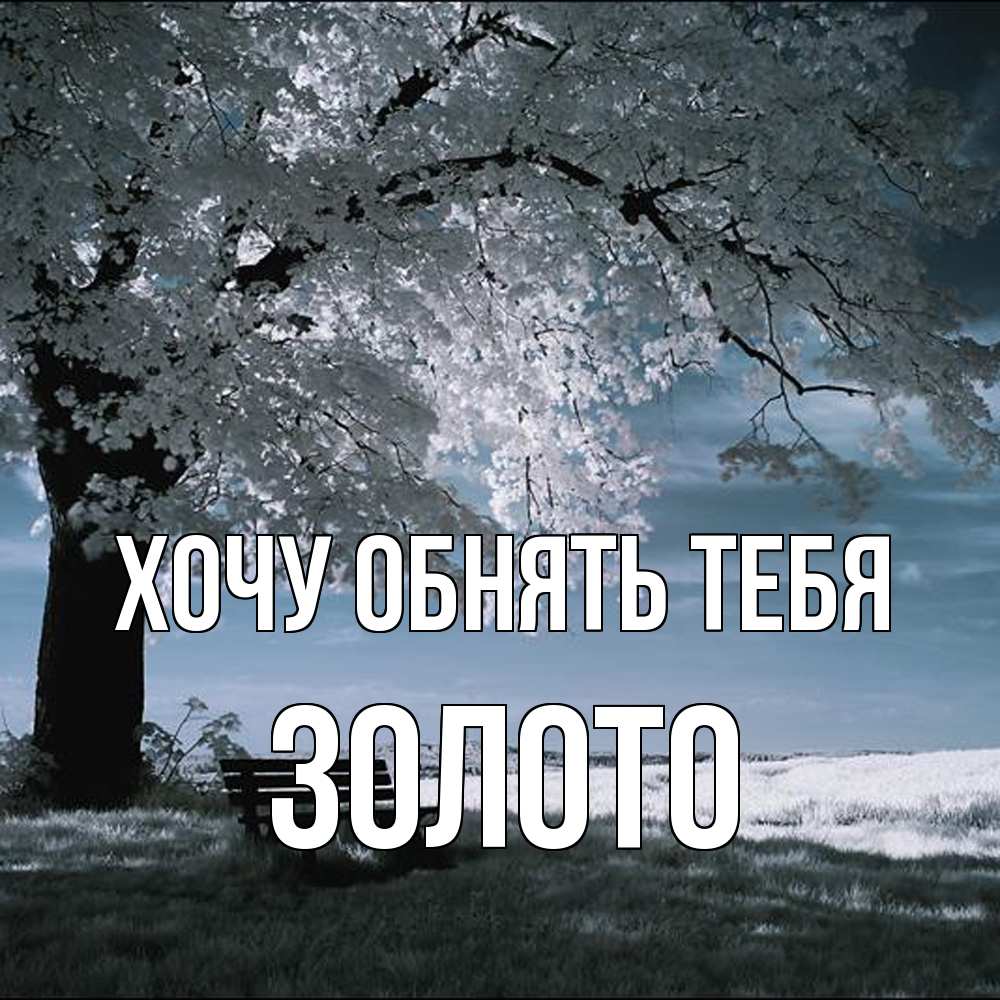 Открытка на каждый день с именем, Золото Хочу обнять тебя дерево Прикольная открытка с пожеланием онлайн скачать бесплатно 