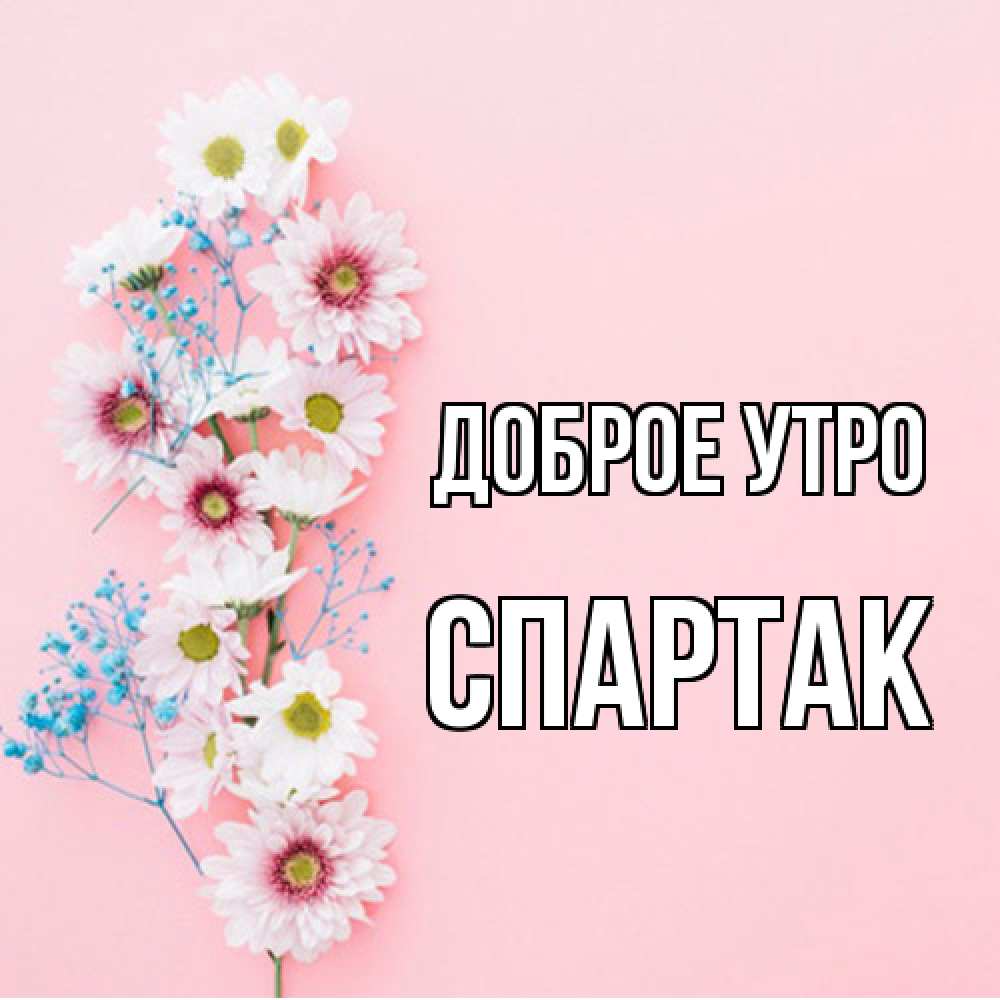 Открытка на каждый день с именем, Спартак Доброе утро цветы с подписью Прикольная открытка с пожеланием онлайн скачать бесплатно 