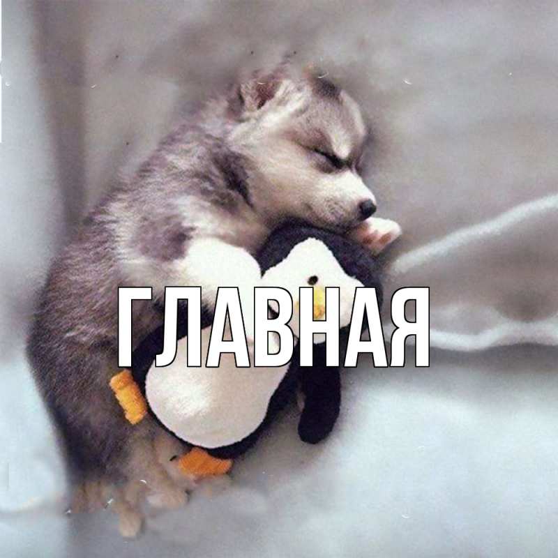 Картинка  с именем , настя