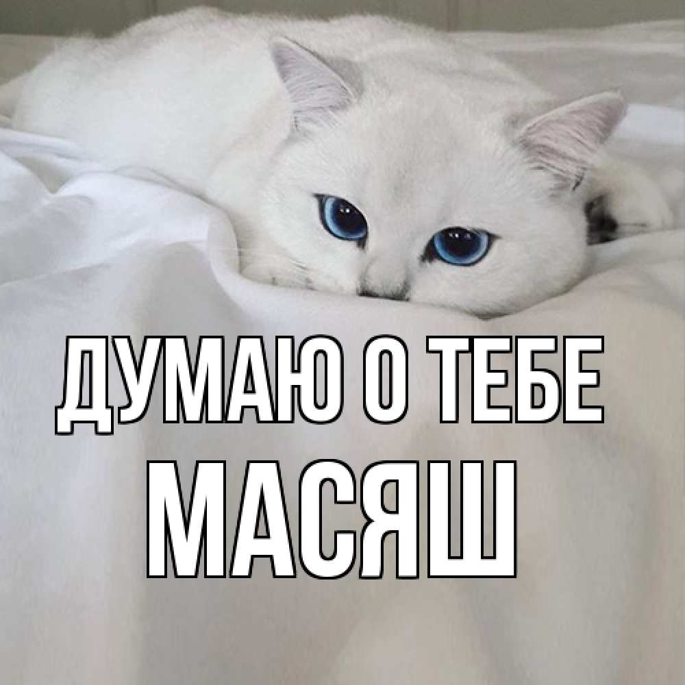 Открытка на каждый день с именем, Масяш Думаю о тебе я очень по тебе скучаю и тоскую Прикольная открытка с пожеланием онлайн скачать бесплатно 