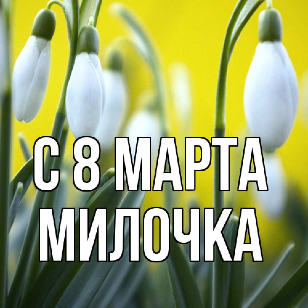 Открытка на каждый день с именем, Милочка C 8 МАРТА весенние цветы Прикольная открытка с пожеланием онлайн скачать бесплатно 
