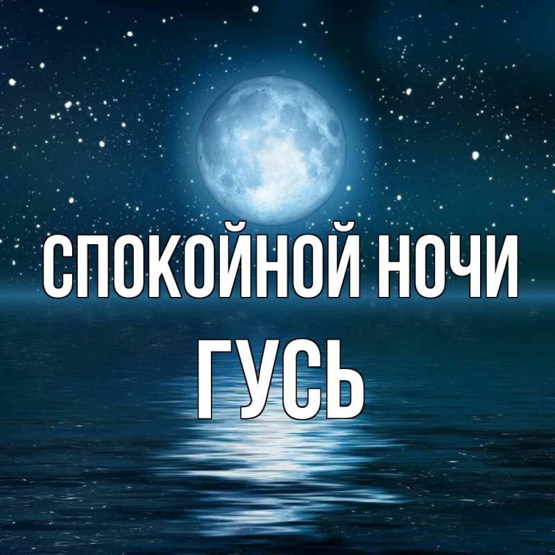 Картинка Спокойной ночи, Гусь