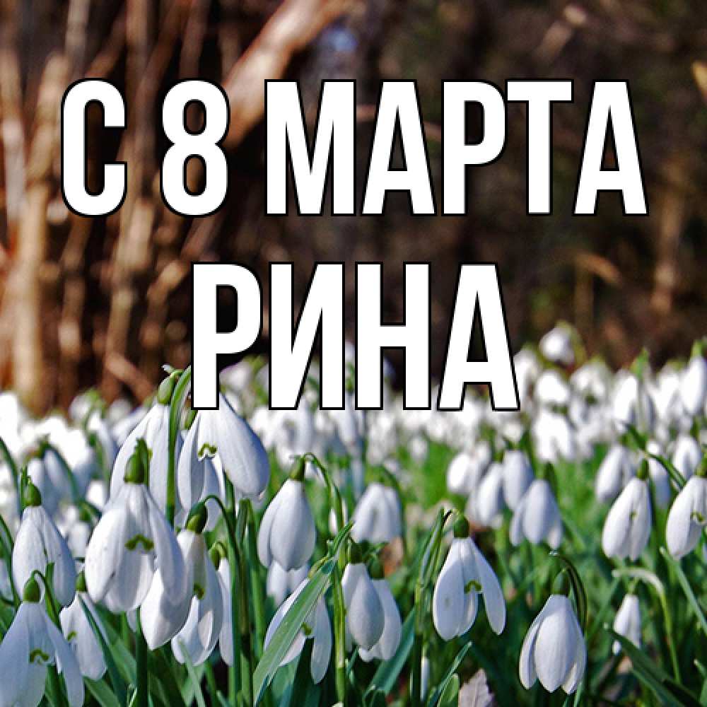 Открытка на каждый день с именем, Рина C 8 МАРТА с подснежниками 1 Прикольная открытка с пожеланием онлайн скачать бесплатно 