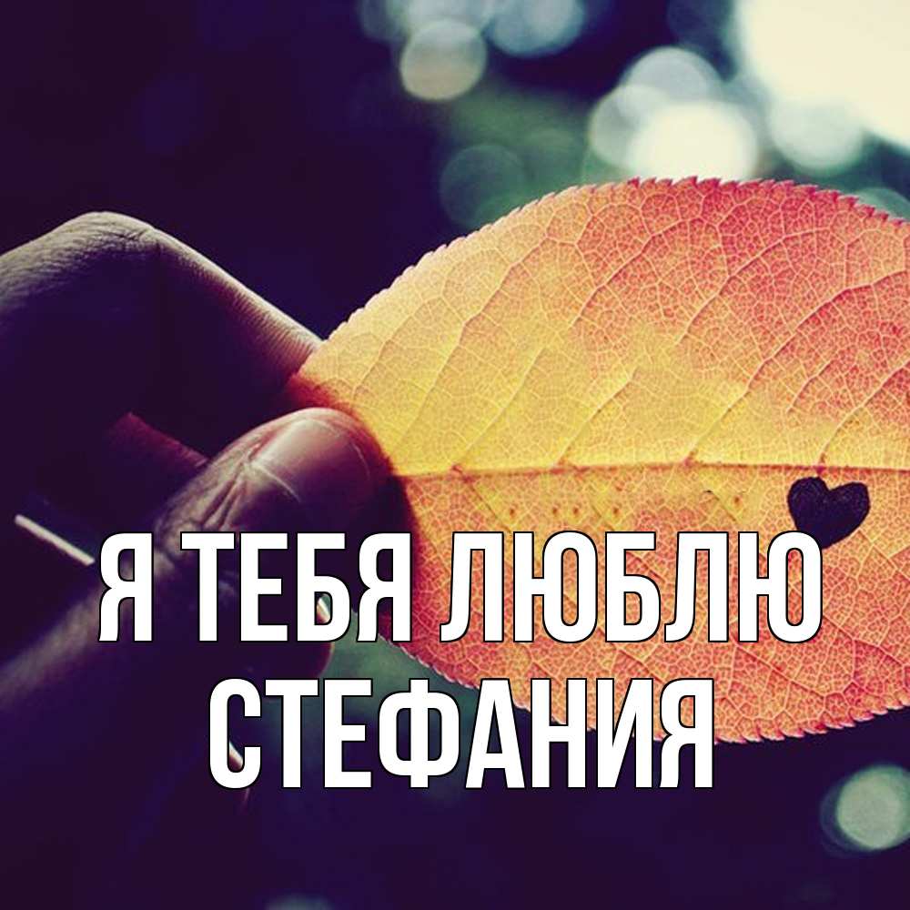 Открытка на каждый день с именем, Стефания Я тебя люблю держу лист Прикольная открытка с пожеланием онлайн скачать бесплатно 
