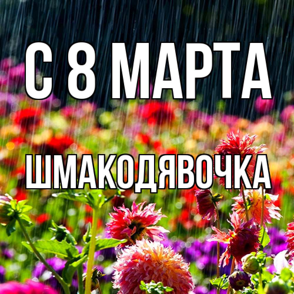 Открытка на каждый день с именем, шмакодявочка C 8 МАРТА цветы под дождиком к международному женскому дню Прикольная открытка с пожеланием онлайн скачать бесплатно 