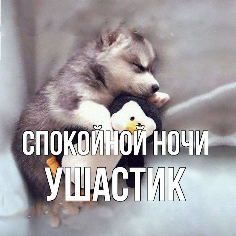 Картинка Спокойной ночи, Ушастик